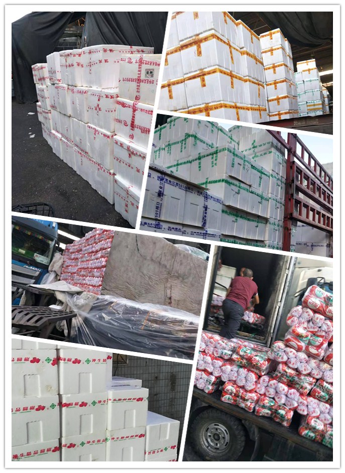 EVO厅·(中国区)视讯官网