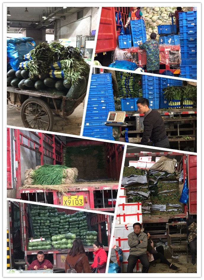 EVO厅·(中国区)视讯官网