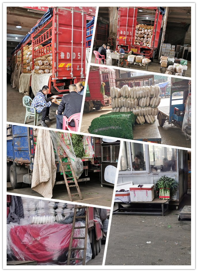 EVO厅·(中国区)视讯官网