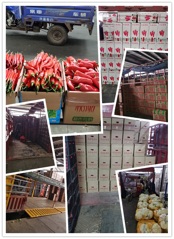 EVO厅·(中国区)视讯官网