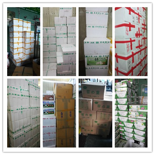 EVO厅·(中国区)视讯官网