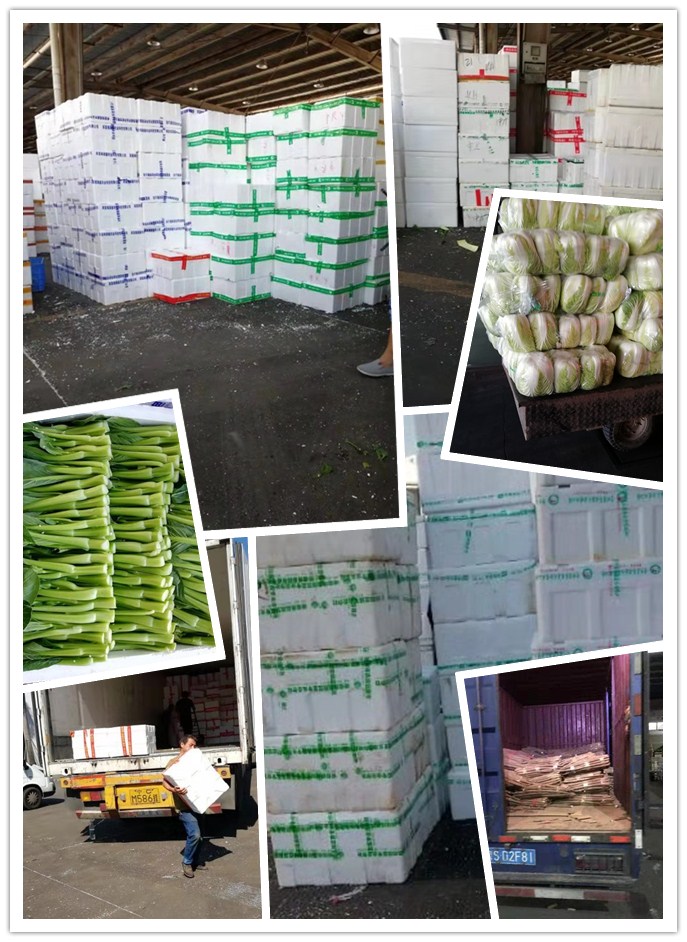 EVO厅·(中国区)视讯官网