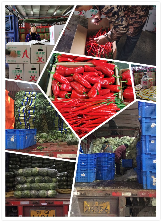 EVO厅·(中国区)视讯官网