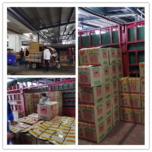 EVO厅·(中国区)视讯官网