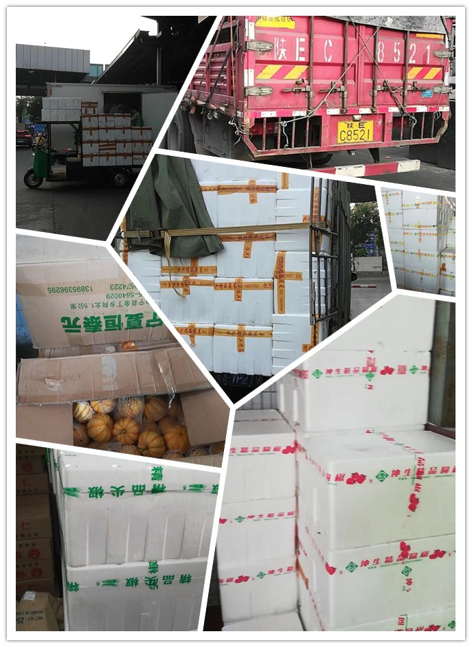 EVO厅·(中国区)视讯官网