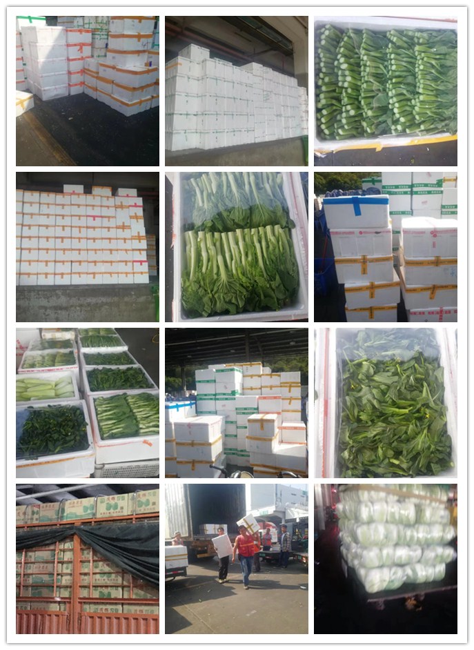 EVO厅·(中国区)视讯官网