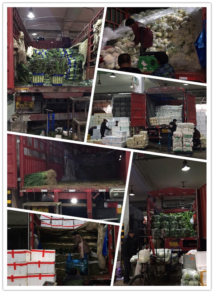 EVO厅·(中国区)视讯官网