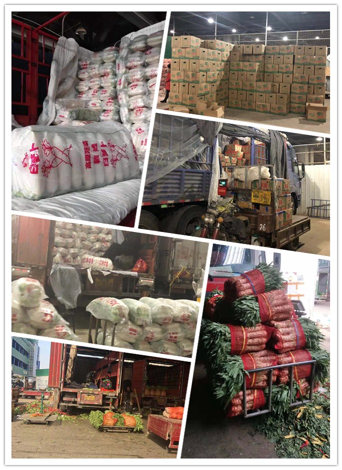 EVO厅·(中国区)视讯官网