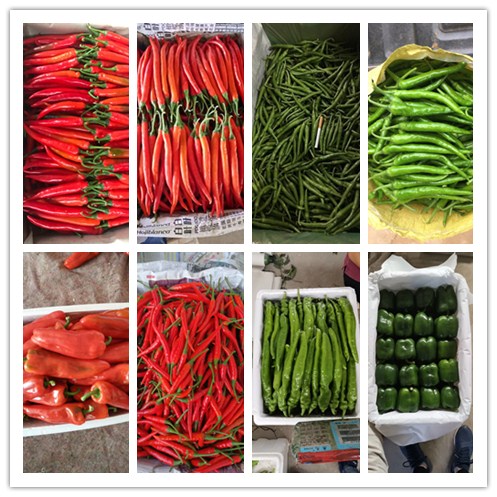 EVO厅·(中国区)视讯官网