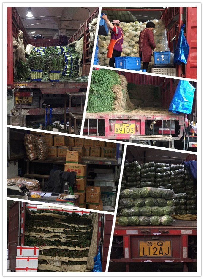 EVO厅·(中国区)视讯官网