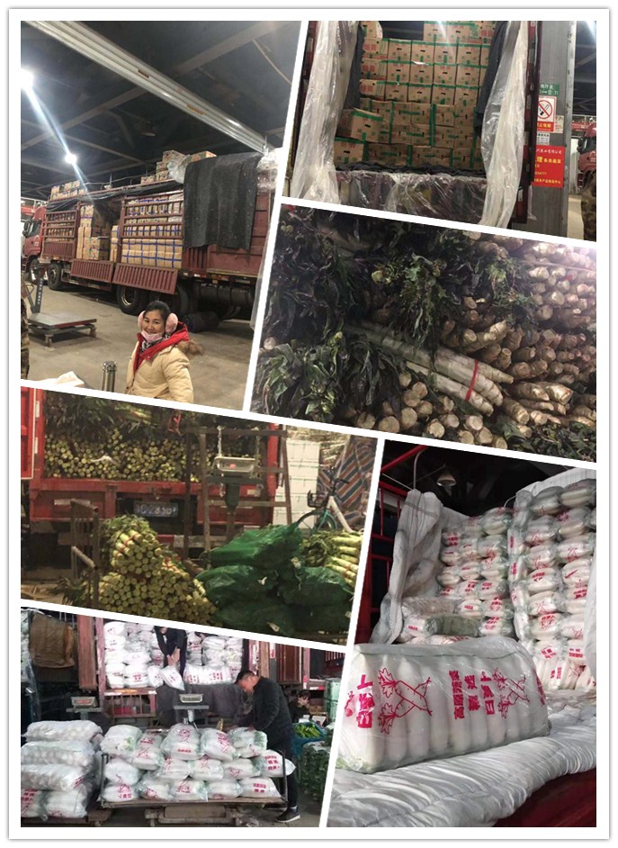 EVO厅·(中国区)视讯官网