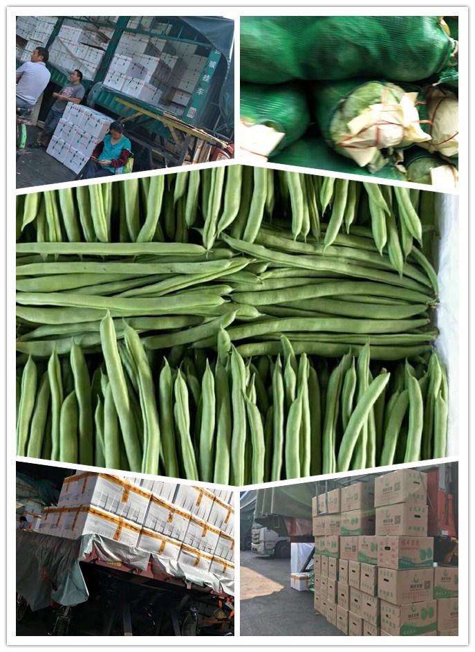 EVO厅·(中国区)视讯官网