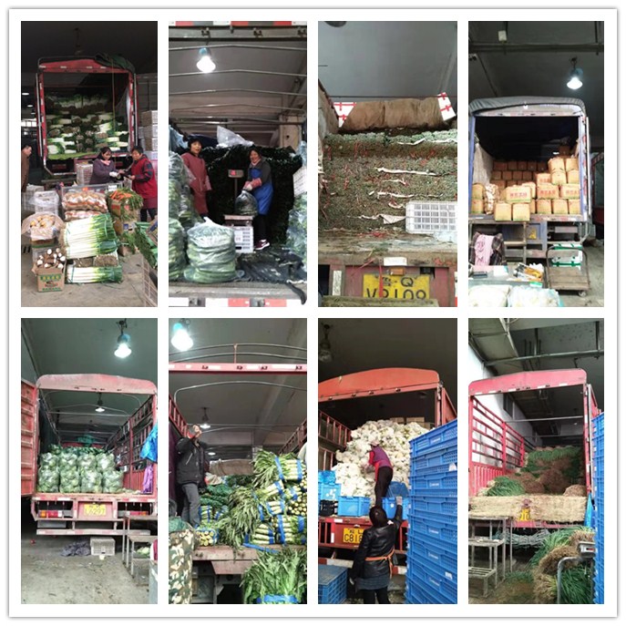 EVO厅·(中国区)视讯官网