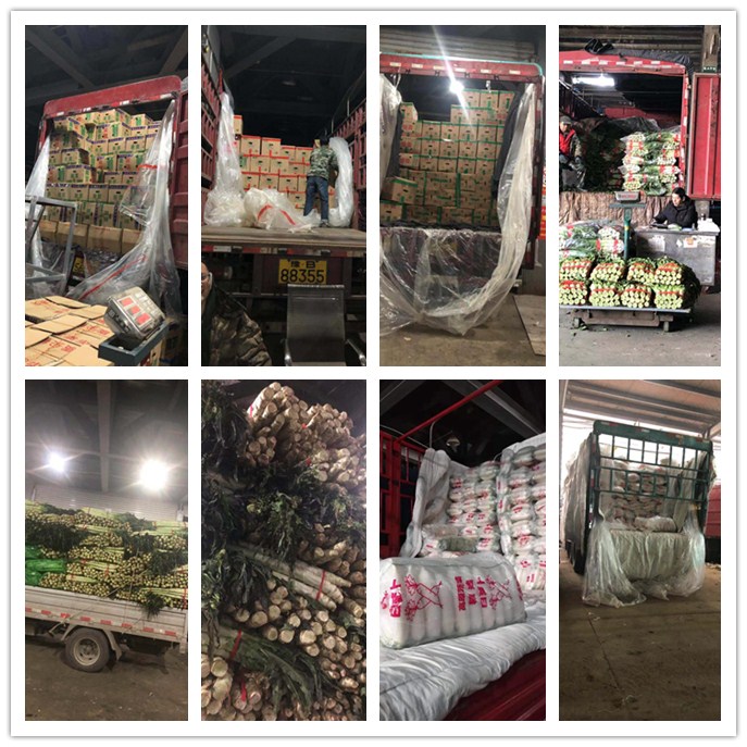 EVO厅·(中国区)视讯官网