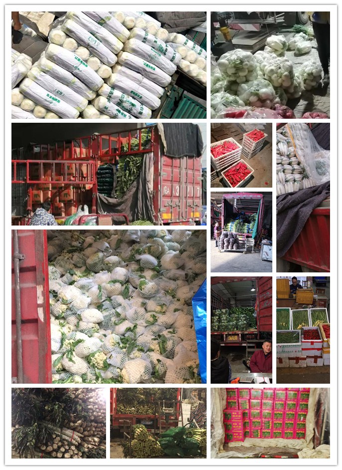 EVO厅·(中国区)视讯官网