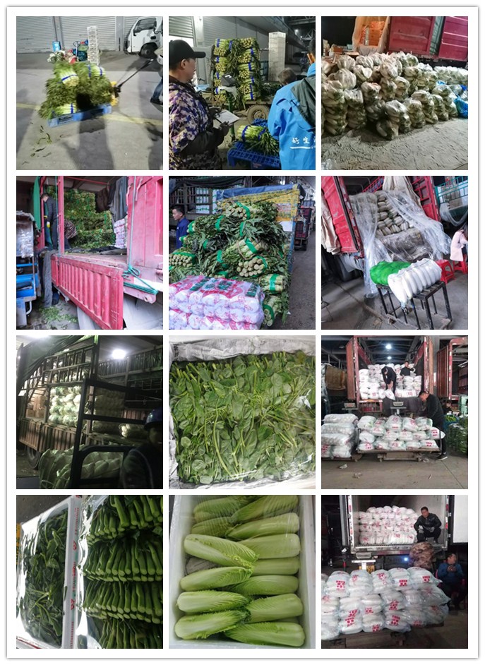 EVO厅·(中国区)视讯官网