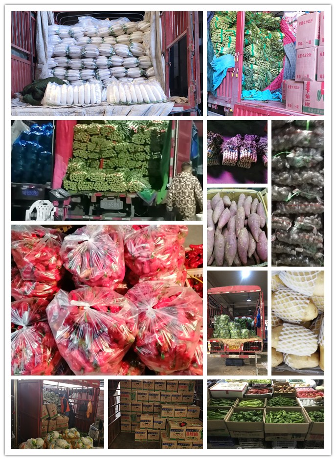 EVO厅·(中国区)视讯官网