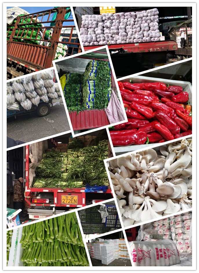 EVO厅·(中国区)视讯官网