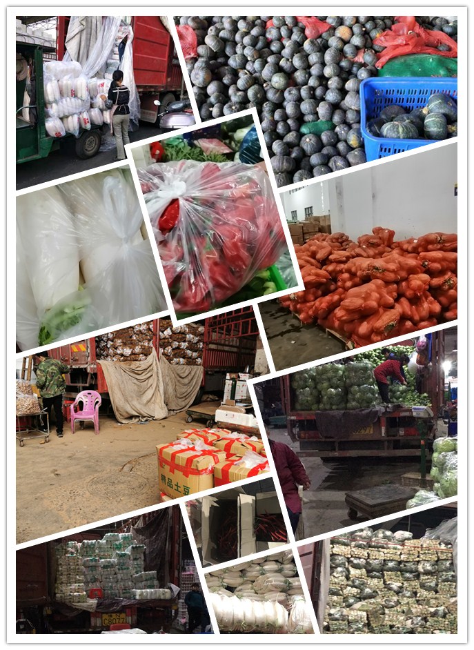 EVO厅·(中国区)视讯官网