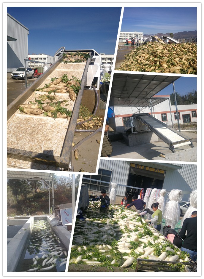 EVO厅·(中国区)视讯官网