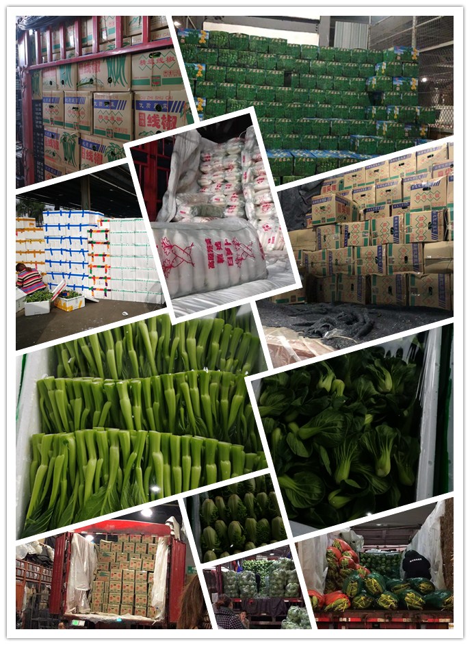 EVO厅·(中国区)视讯官网