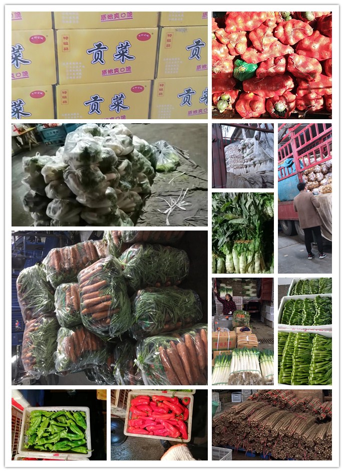 EVO厅·(中国区)视讯官网