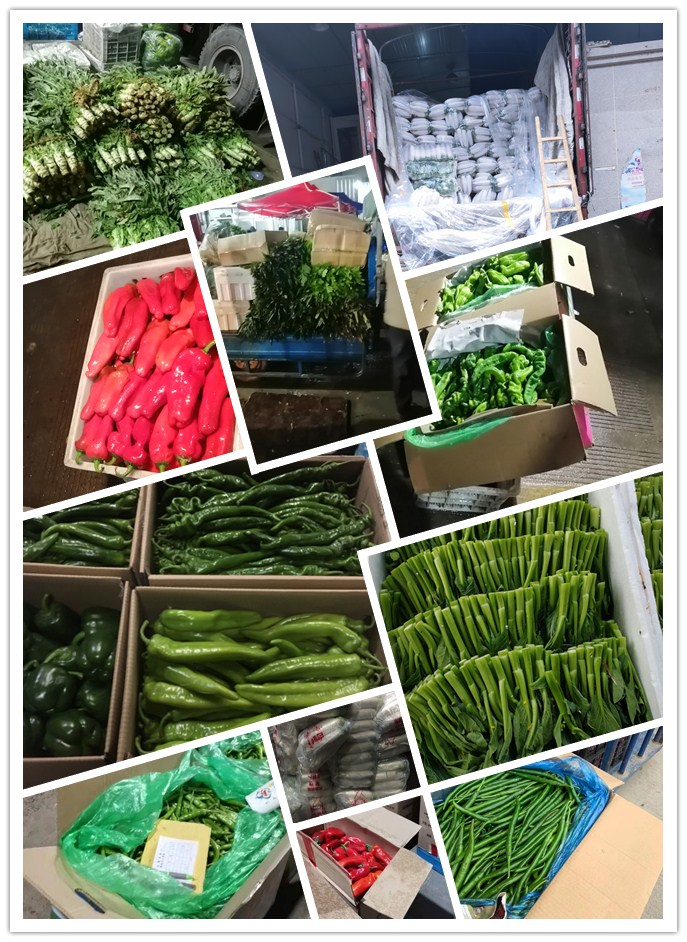 EVO厅·(中国区)视讯官网