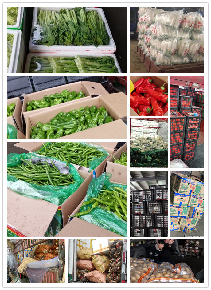 EVO厅·(中国区)视讯官网