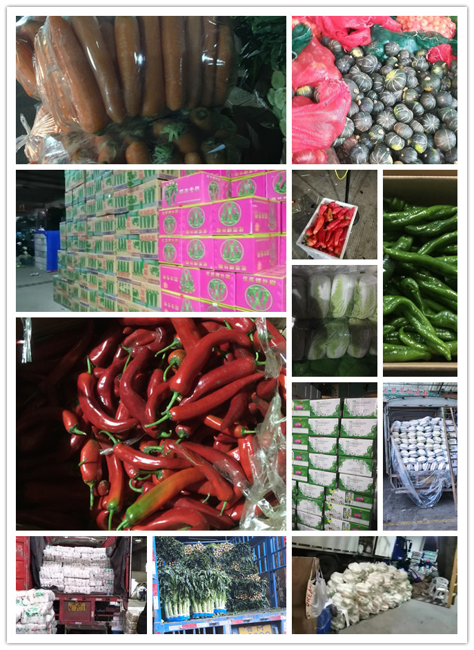 EVO厅·(中国区)视讯官网