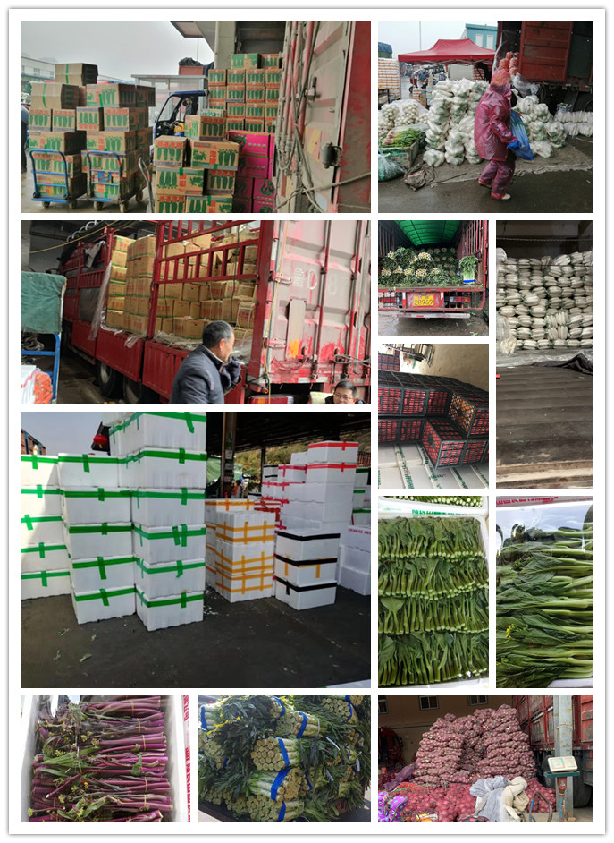 EVO厅·(中国区)视讯官网