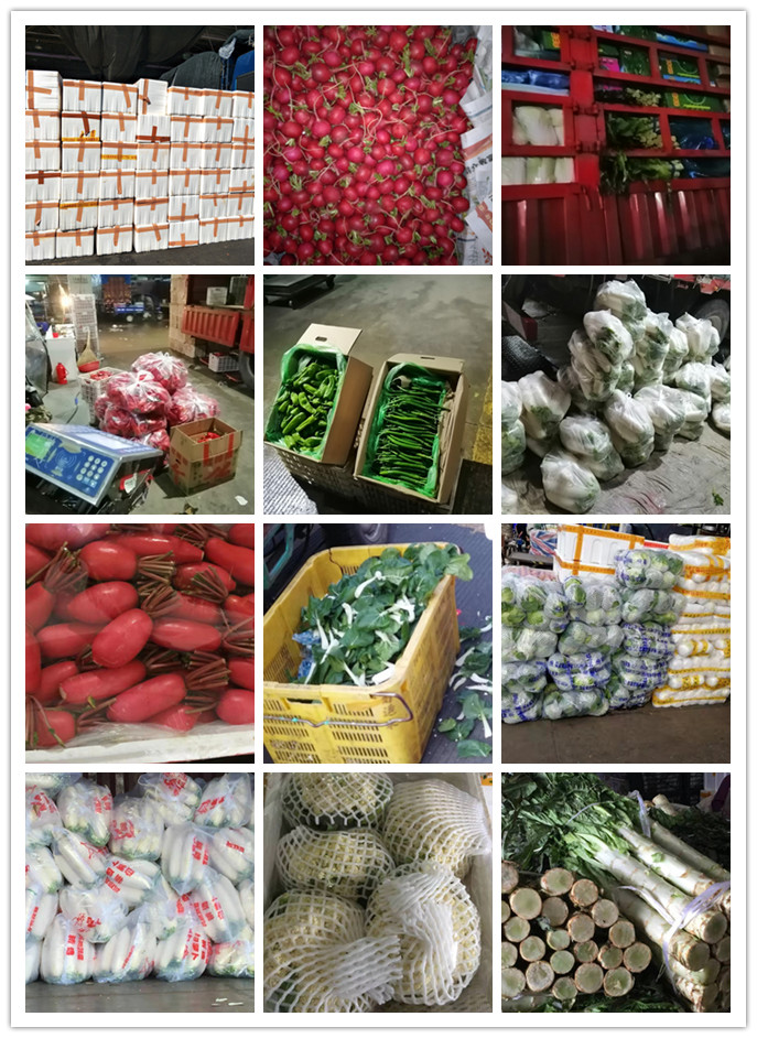 EVO厅·(中国区)视讯官网