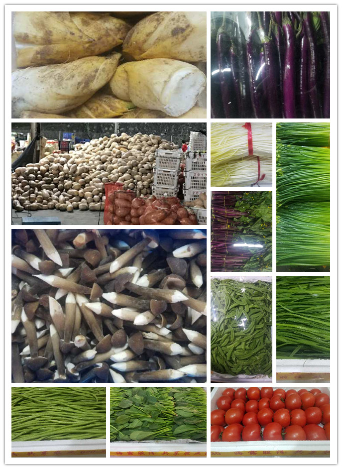 EVO厅·(中国区)视讯官网