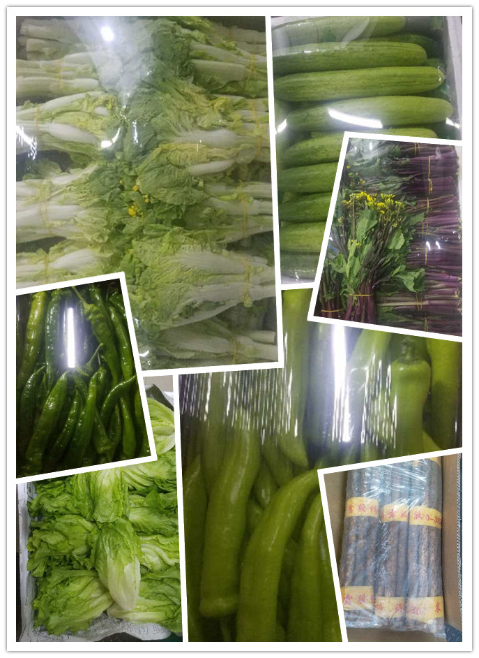 EVO厅·(中国区)视讯官网