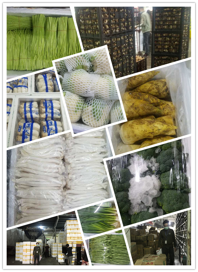 EVO厅·(中国区)视讯官网