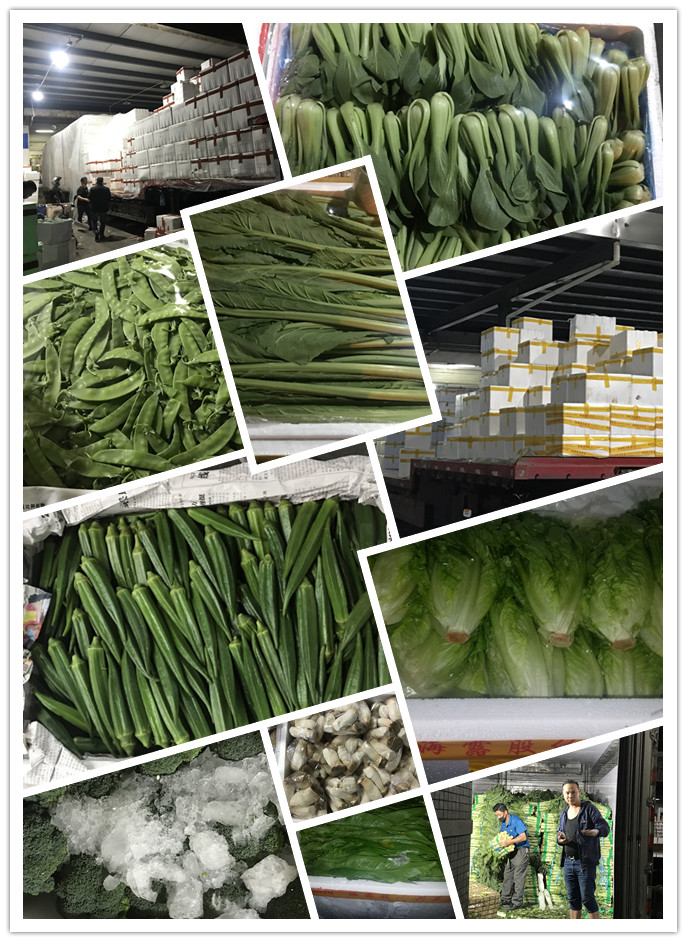 EVO厅·(中国区)视讯官网