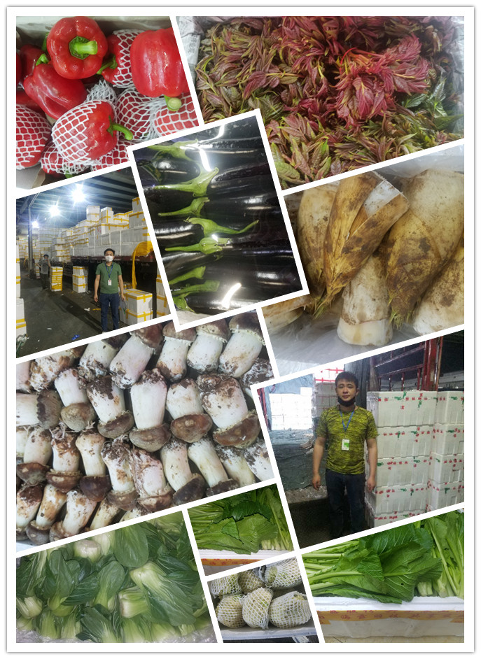 EVO厅·(中国区)视讯官网