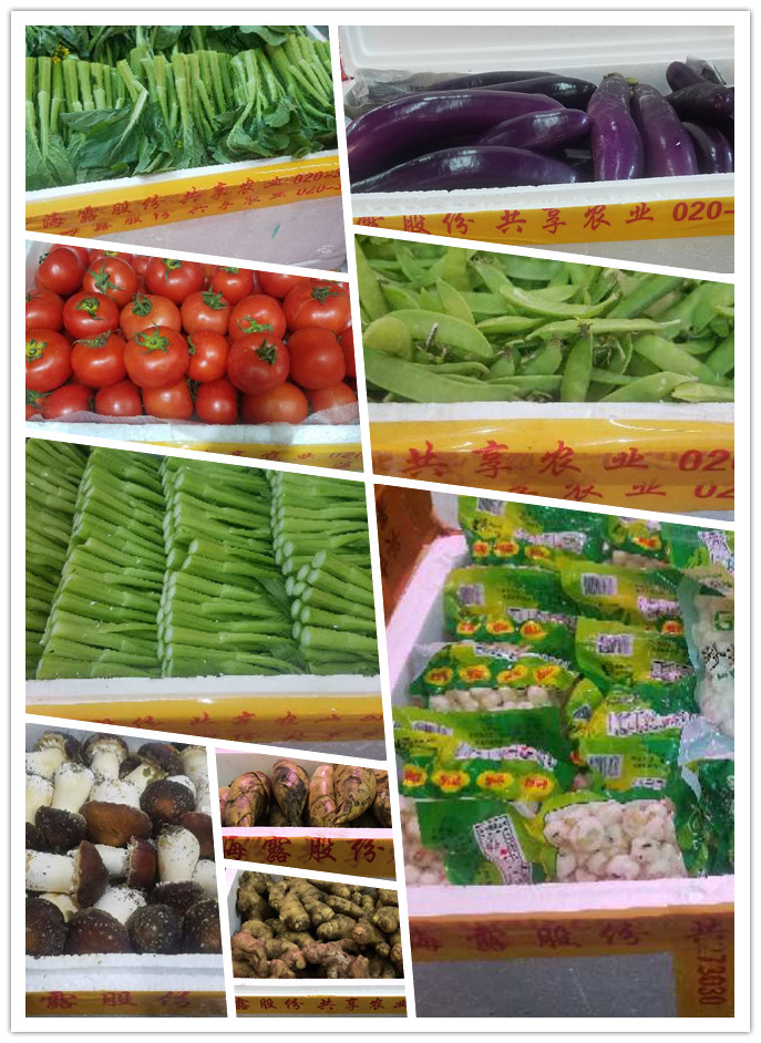 EVO厅·(中国区)视讯官网