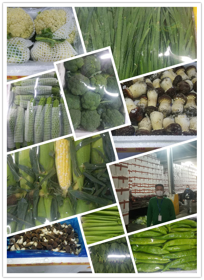 EVO厅·(中国区)视讯官网