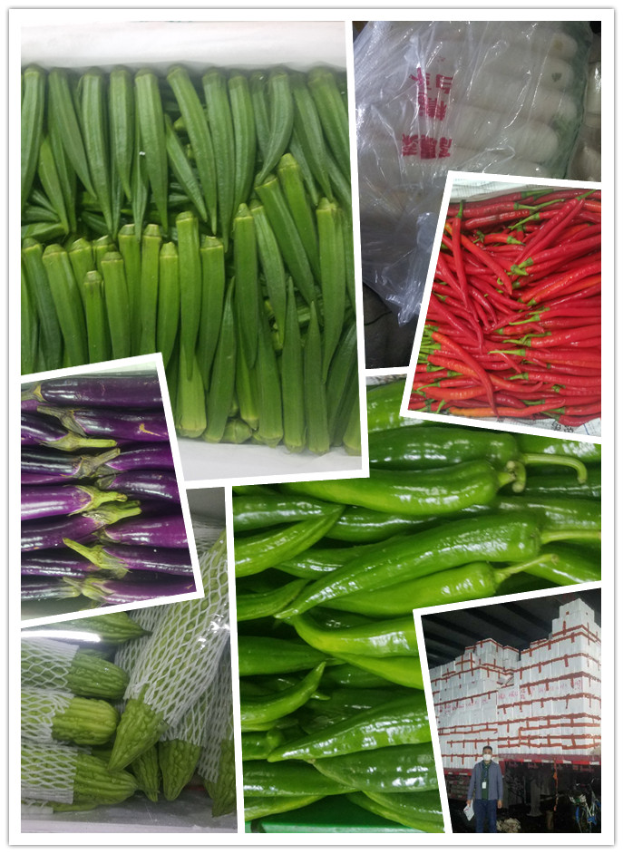 EVO厅·(中国区)视讯官网