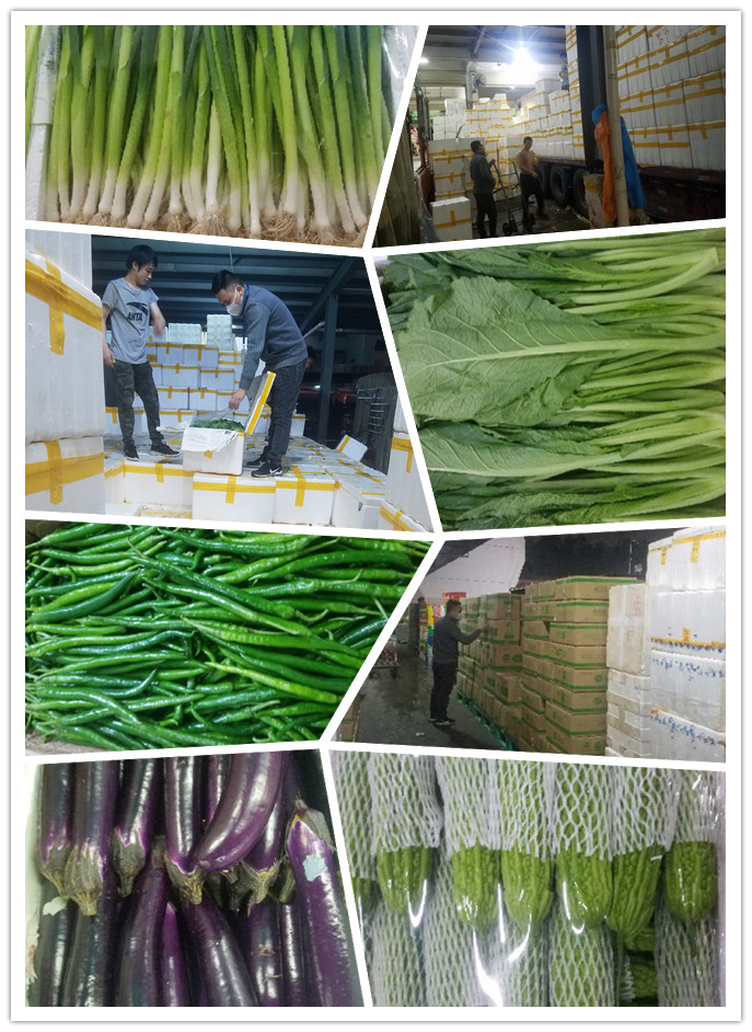 EVO厅·(中国区)视讯官网