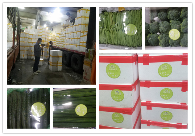 EVO厅·(中国区)视讯官网