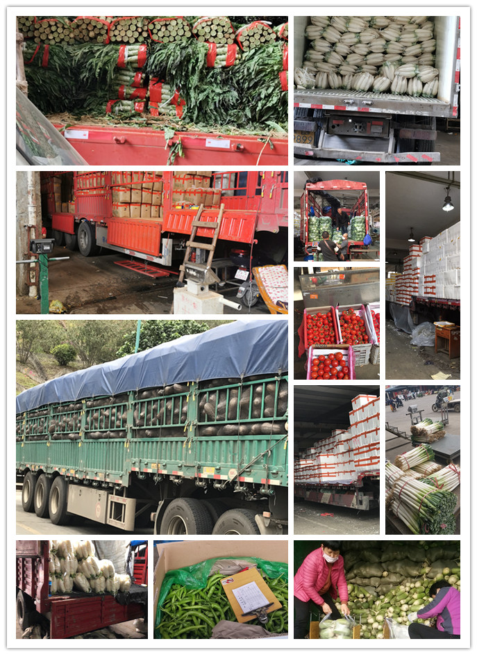 EVO厅·(中国区)视讯官网