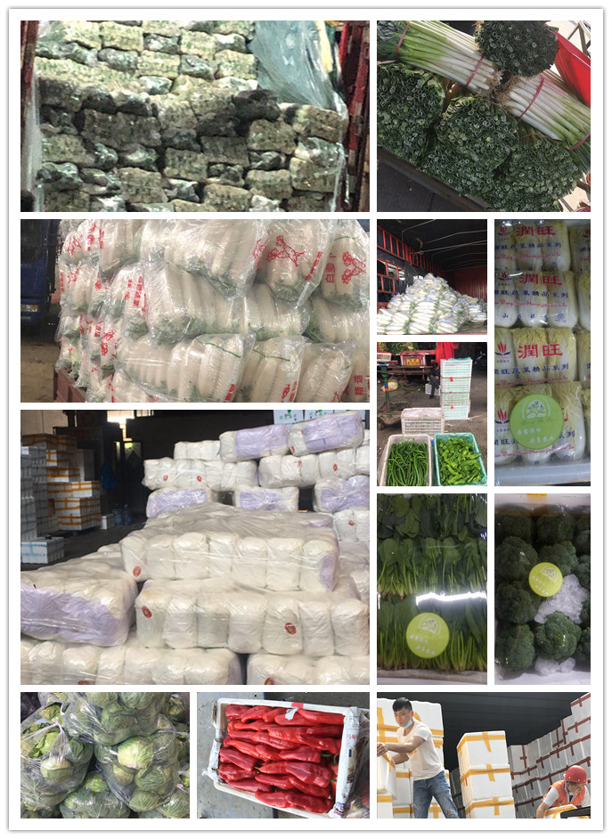 EVO厅·(中国区)视讯官网