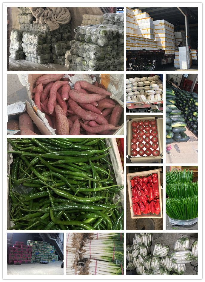 EVO厅·(中国区)视讯官网