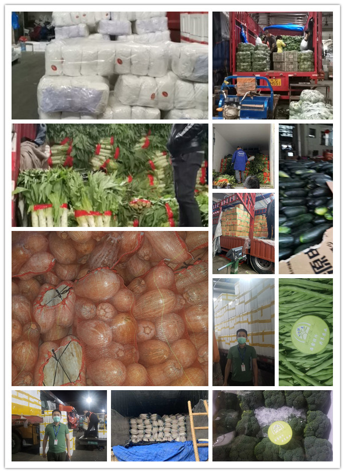 EVO厅·(中国区)视讯官网