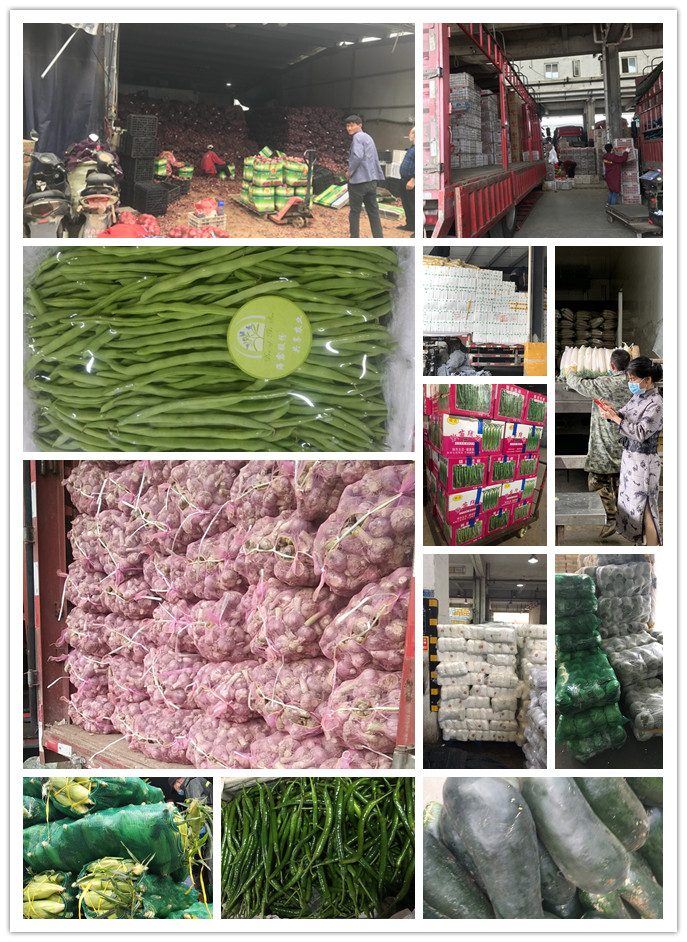 EVO厅·(中国区)视讯官网