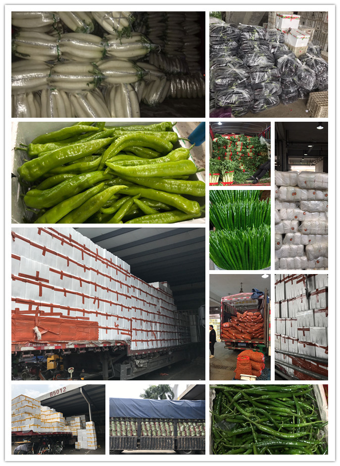 EVO厅·(中国区)视讯官网