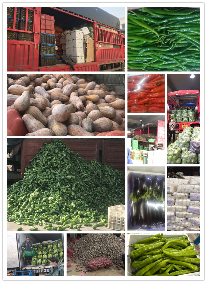 EVO厅·(中国区)视讯官网