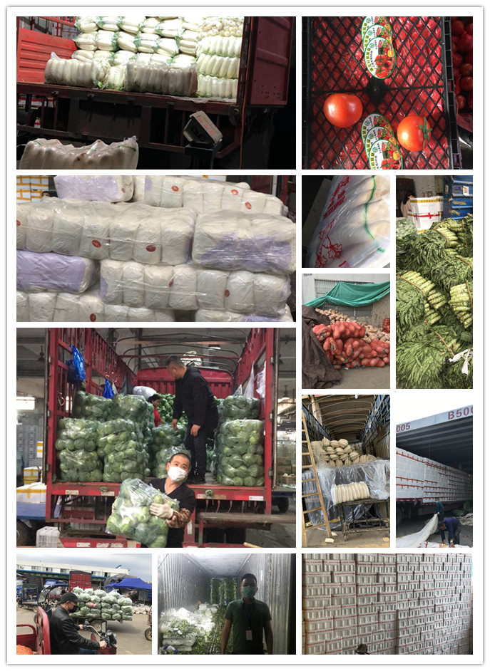 EVO厅·(中国区)视讯官网