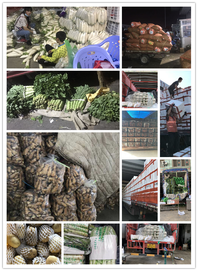 EVO厅·(中国区)视讯官网